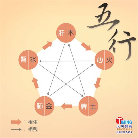 五行 健康|中醫知識 